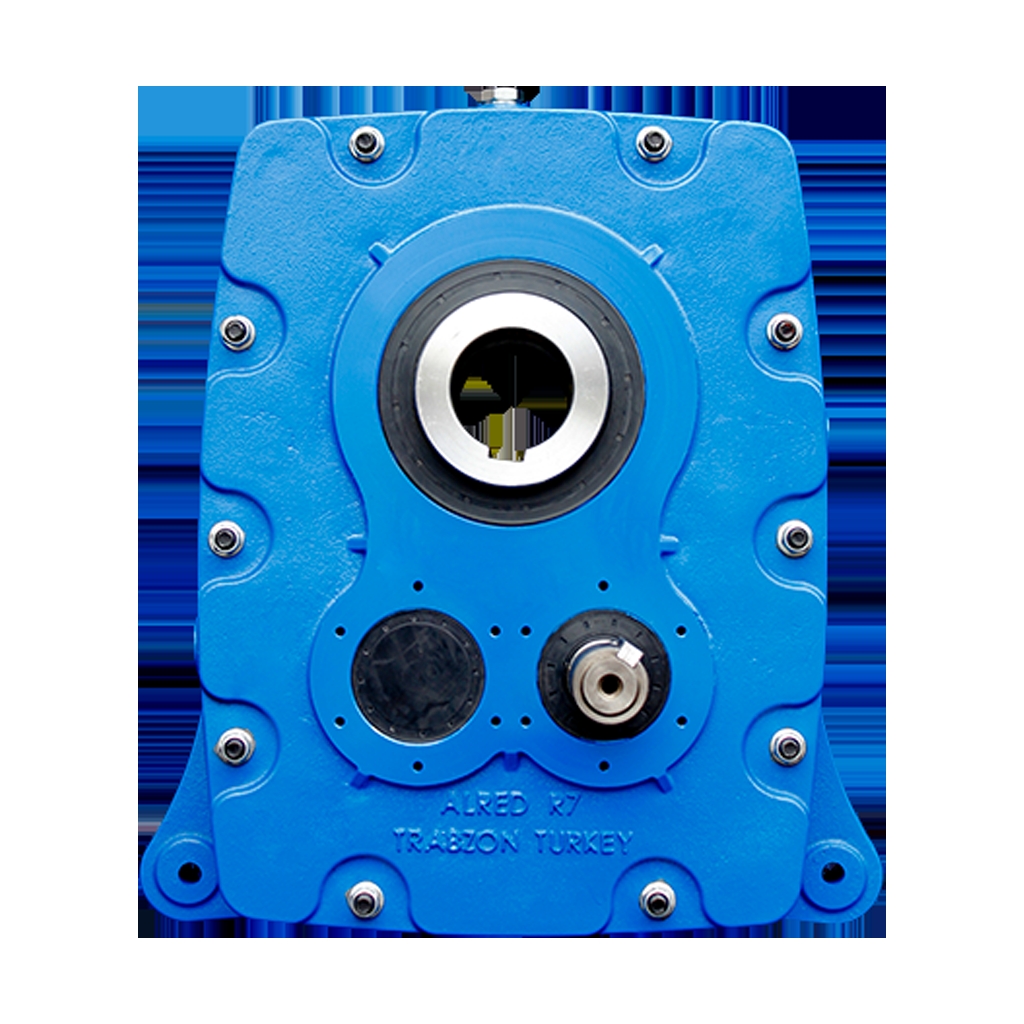 R Type Double Transmission Conveyor Reductor